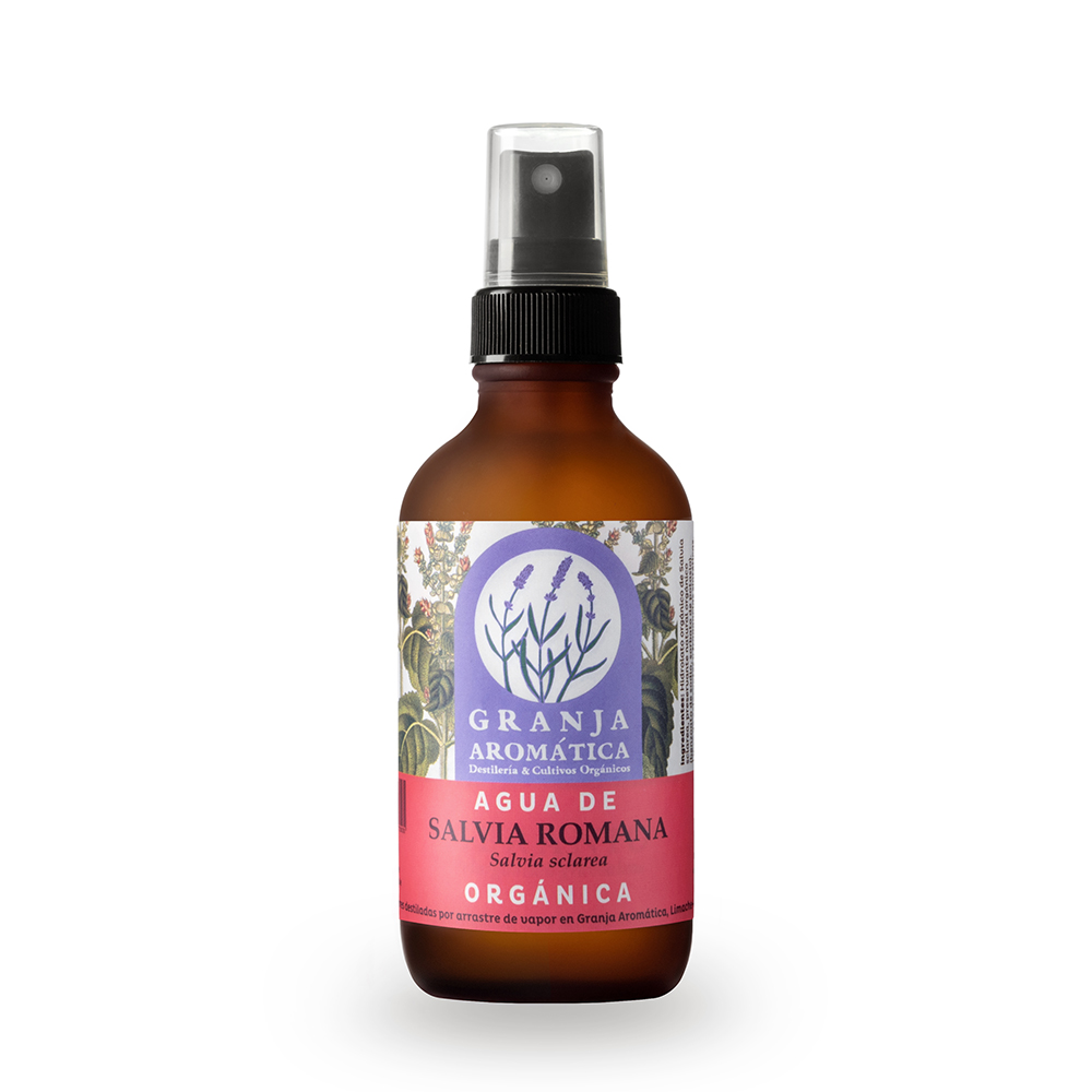 salvia-sclarea